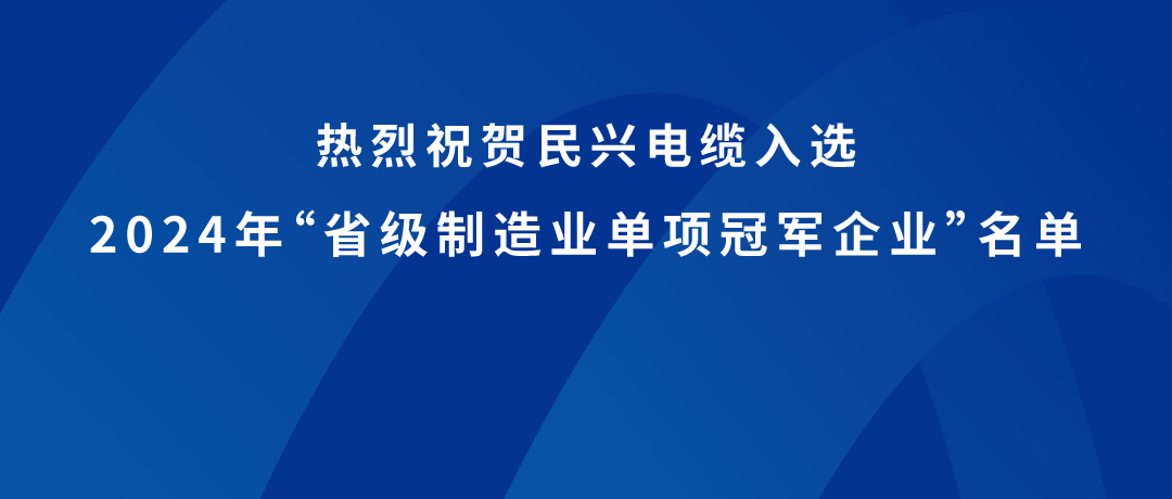 巅峰国际荣获广东省制造业单项冠军！