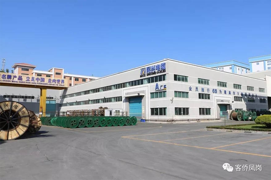 党建引航 | 坚守初心与使命——  巅峰国际电缆接受凤岗电视台采访和报道
