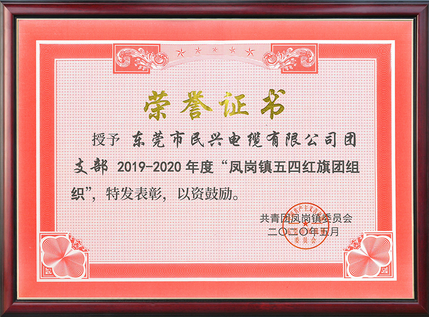  巅峰国际电缆团支部获“凤岗镇五四红旗团组织“称号