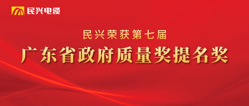 巅峰国际荣获“广东省政府质量奖提名奖”