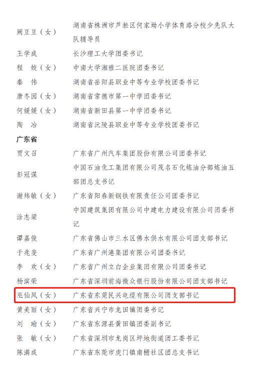 巅峰国际网站(中国游)官网