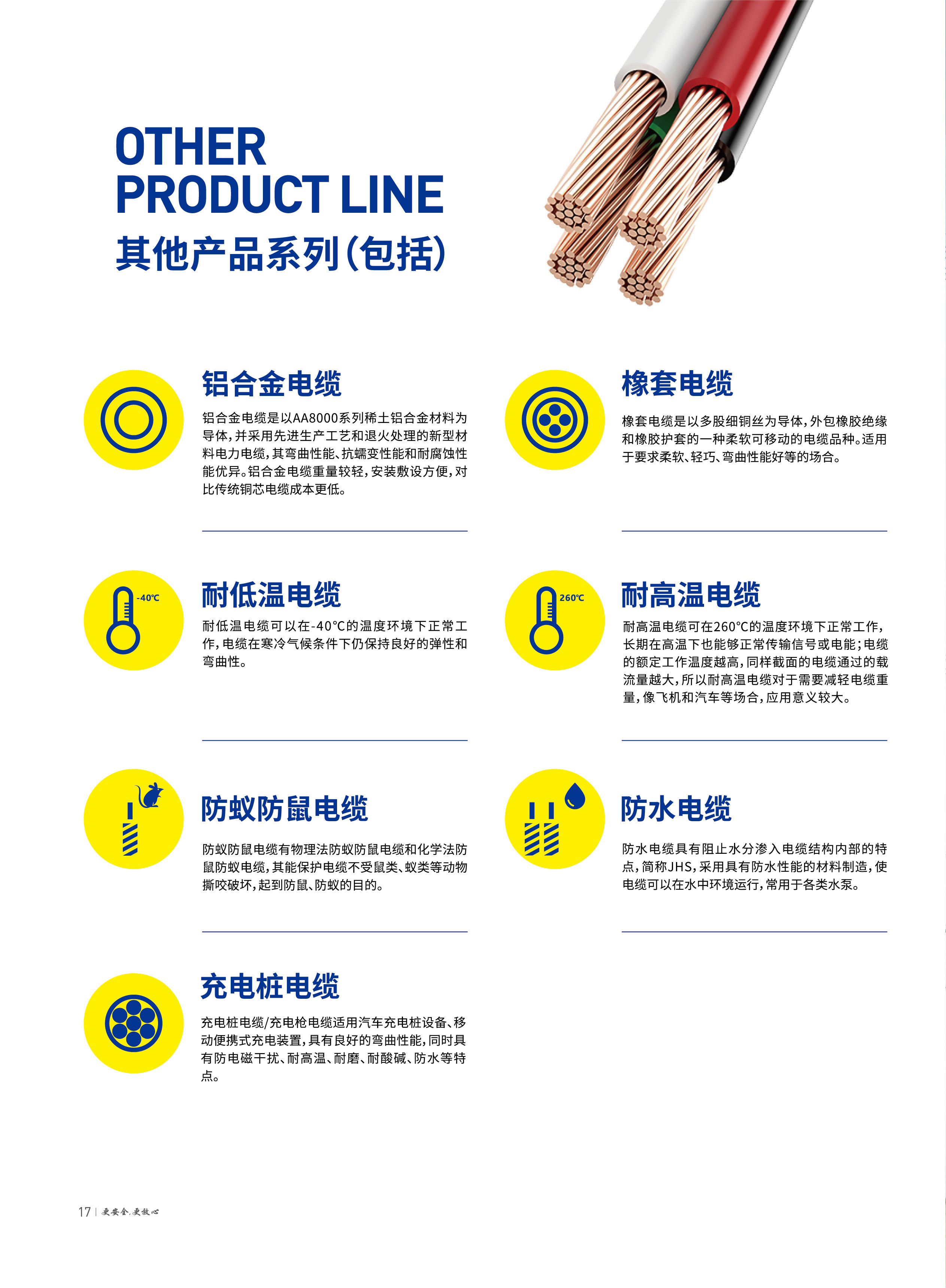 巅峰国际网站(中国游)官网