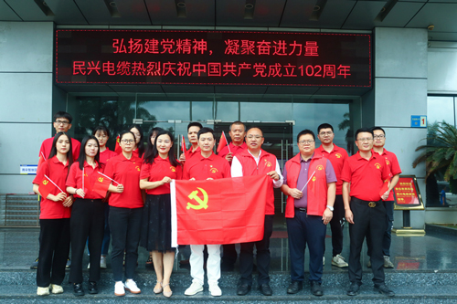巅峰国际电缆举行庆祝建党102周年“七一”主题活动