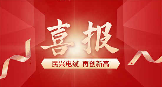 东莞唯一！巅峰国际电缆入选广东省首席质量官质量变革创新典型案例