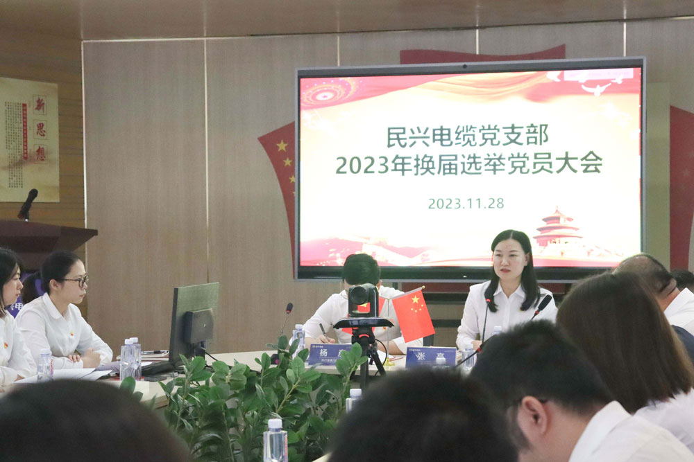 巅峰国际网站(中国游)官网
