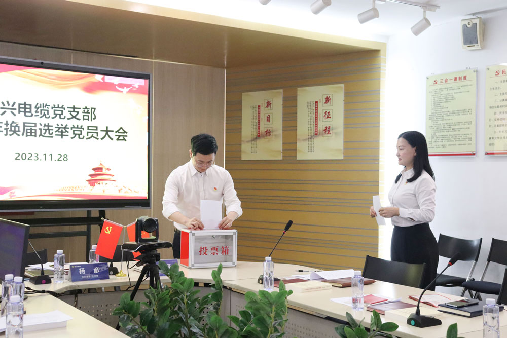巅峰国际网站(中国游)官网