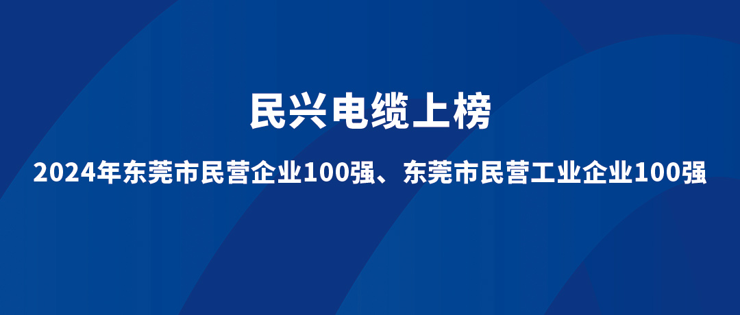 巅峰国际位列第15位！2024年东莞市民营工业企业100强榜单发布
