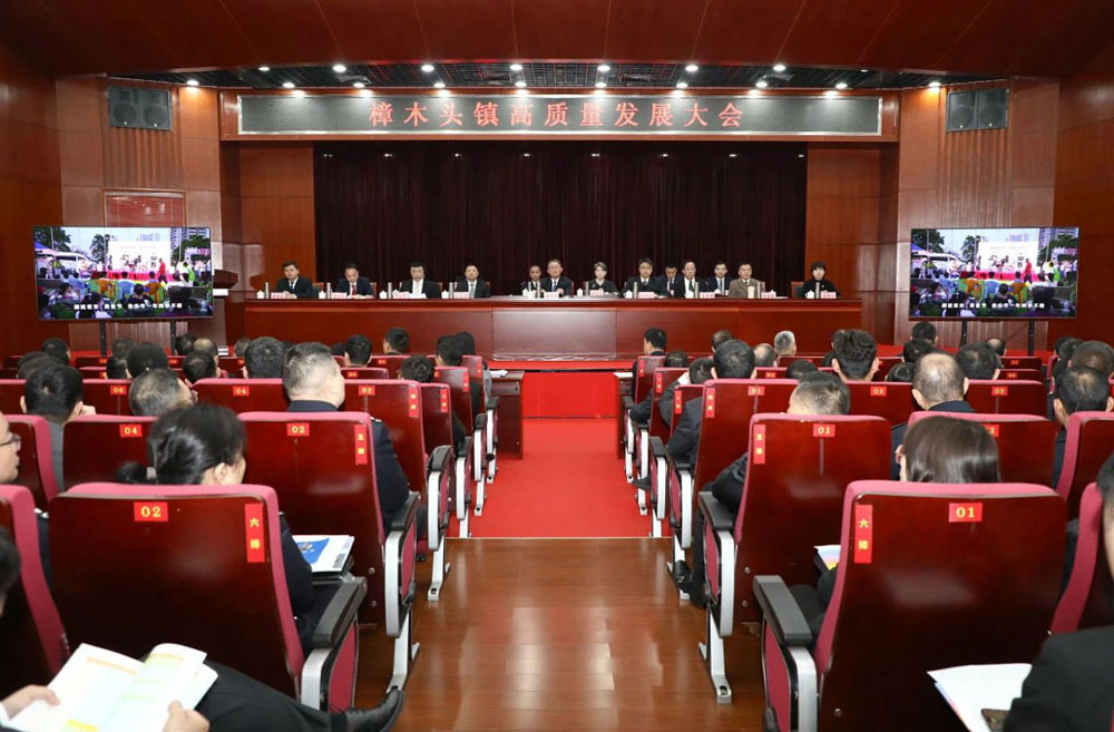 巅峰国际电缆参加樟木头镇高质量发展大会，，，，，吹响新春高质量发展集结号